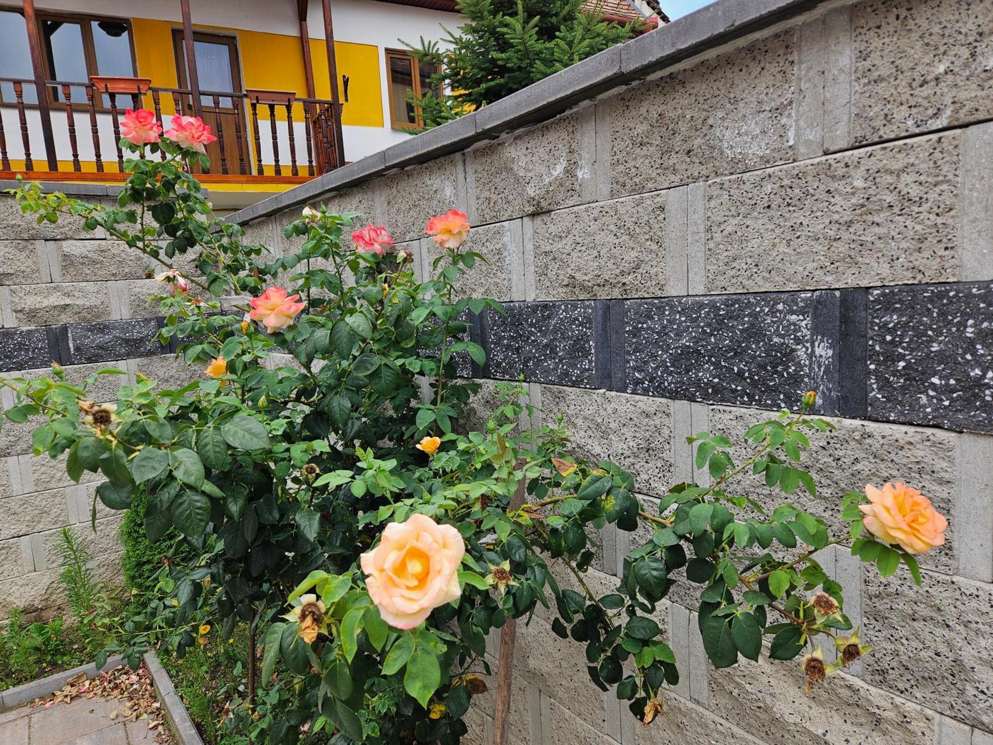Casa Raduly Aparthotel Sibiu Exteriör bild